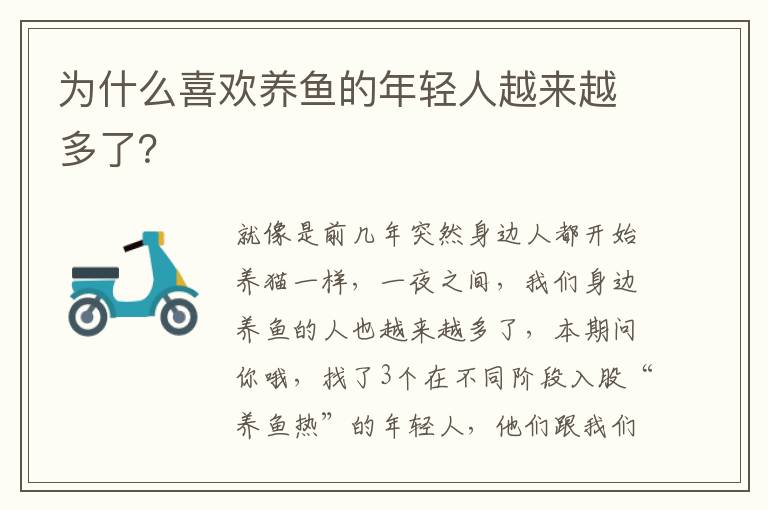 为什么喜欢养鱼的年轻人越来越多了？