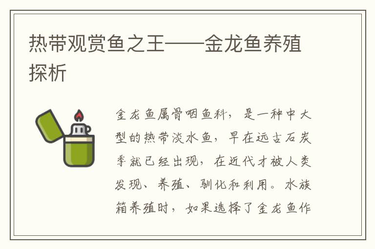 热带观赏鱼之王——金龙鱼养殖探析