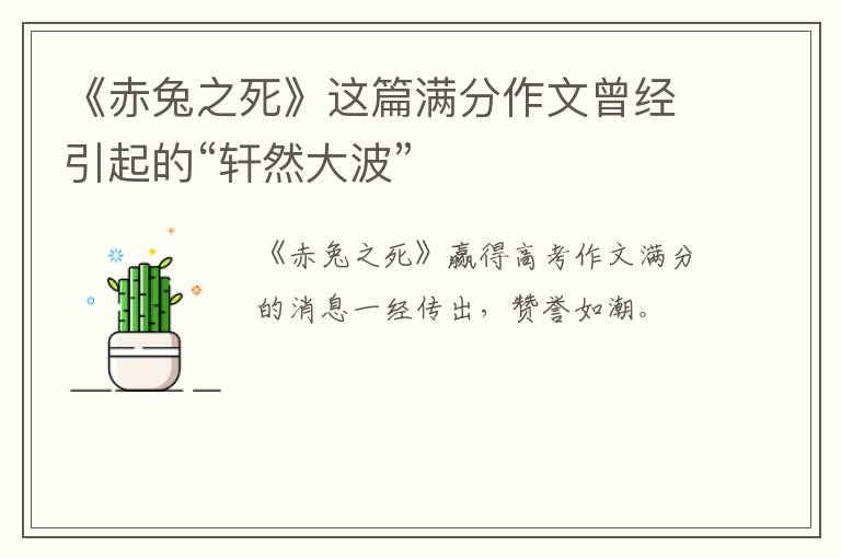 《赤兔之死》这篇满分作文曾经引起的“轩然大波”
