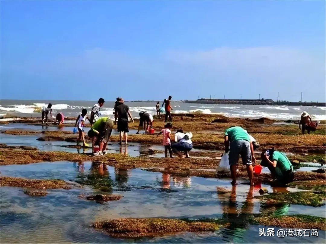 石岛旅游景点门票多少钱_石岛旅游攻略_石岛旅游攻略自驾游