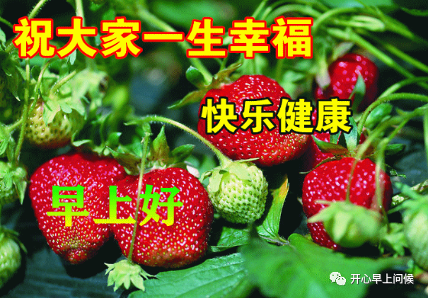 星期天早上问好_最能打动人心的早安问候星期一_星期天早安问候语