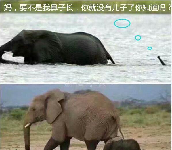 让人笑到肚子疼的笑话_让人笑的肚子疼笑话_十个把肚子笑疼的笑话