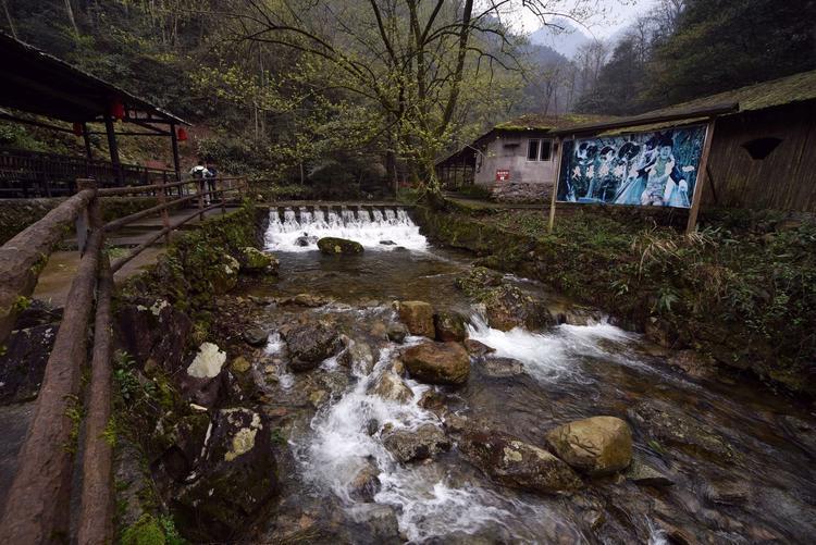 庐山黄山自驾游攻略_黄山庐山旅游攻略_黄山自驾攻略游庐山路线图