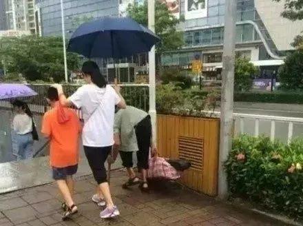 今日家庭教育观后感_今日家庭教育_今日家庭教育直播