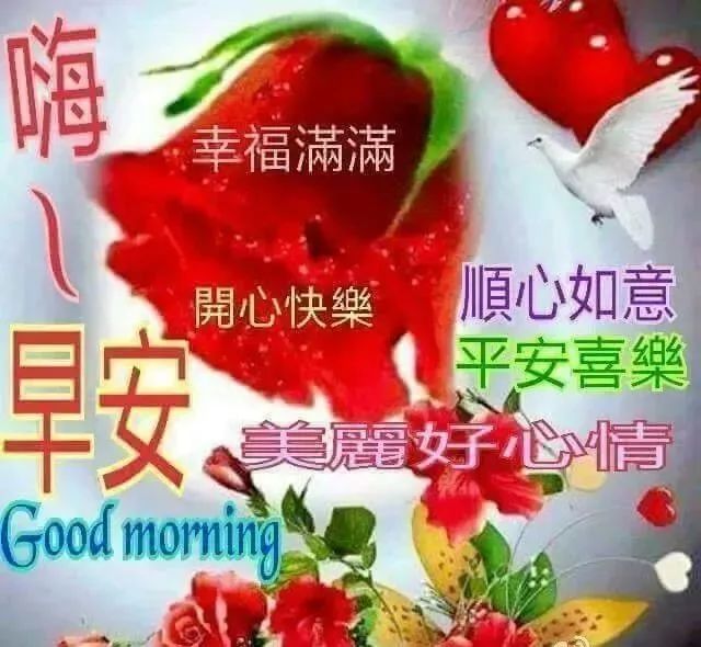 祝福朋友圈早上好语录短信句子群发 早晨问