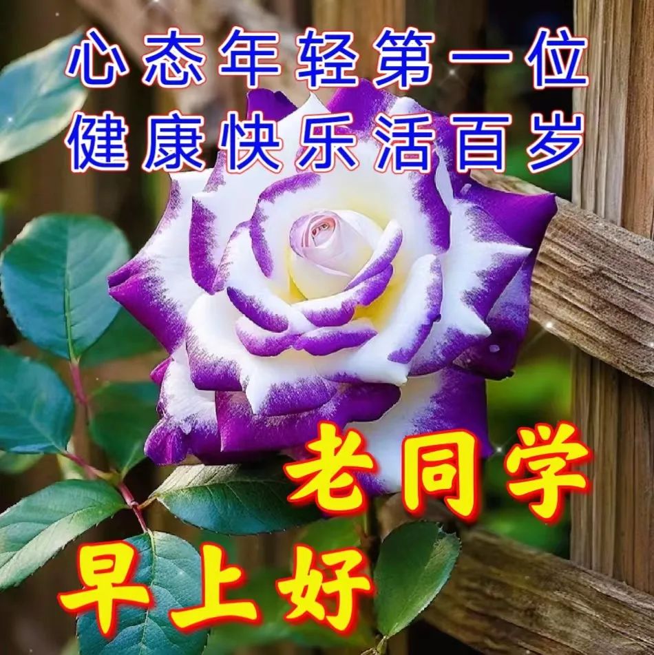 向同学群问候早上好_同学群早上问候语_早上在同学群问好能说些什么