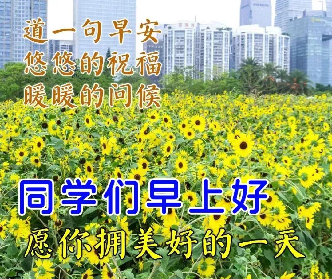 同学群早上问候语_向同学群问候早上好_早上在同学群问好能说些什么