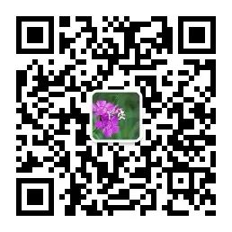 同学群早上问候语_早上在同学群问好能说些什么_向同学群问候早上好