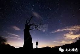 给妈妈的生日祝福语，把爱送给她，暖心又温