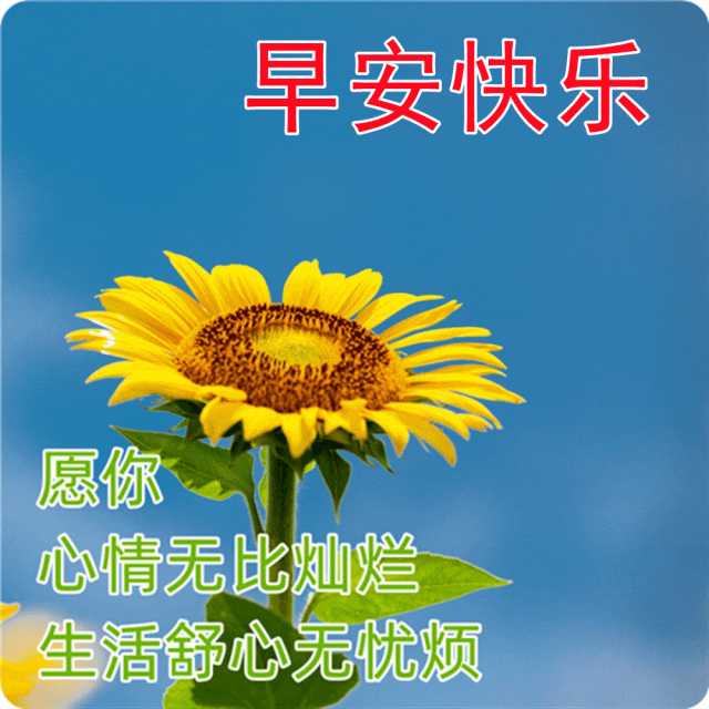 分享朋友圈的早上好漂亮祝福图片 暖心的早