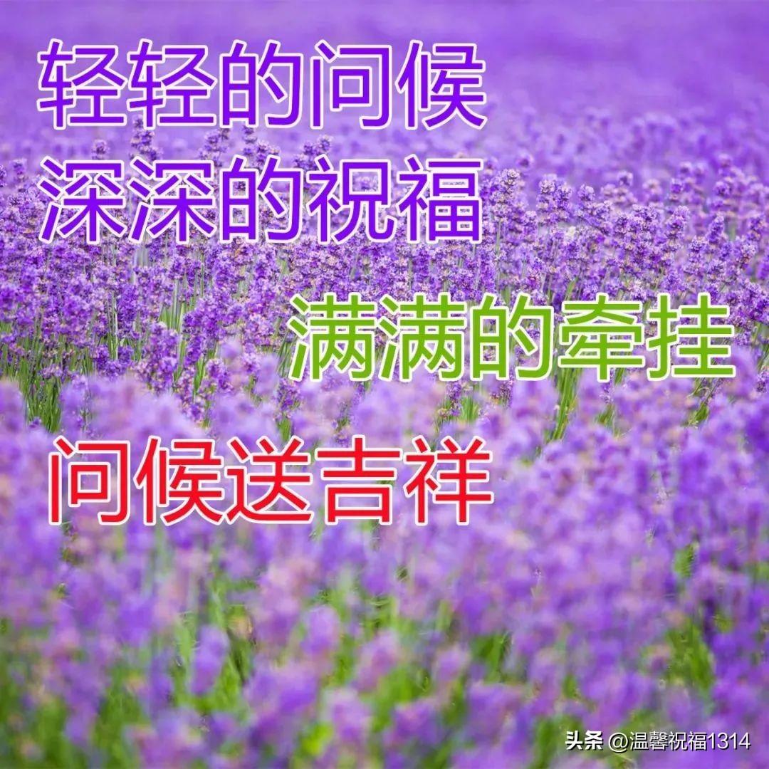 早晨对朋友的问候语_早上问候语朋友_早晨问候朋友短句
