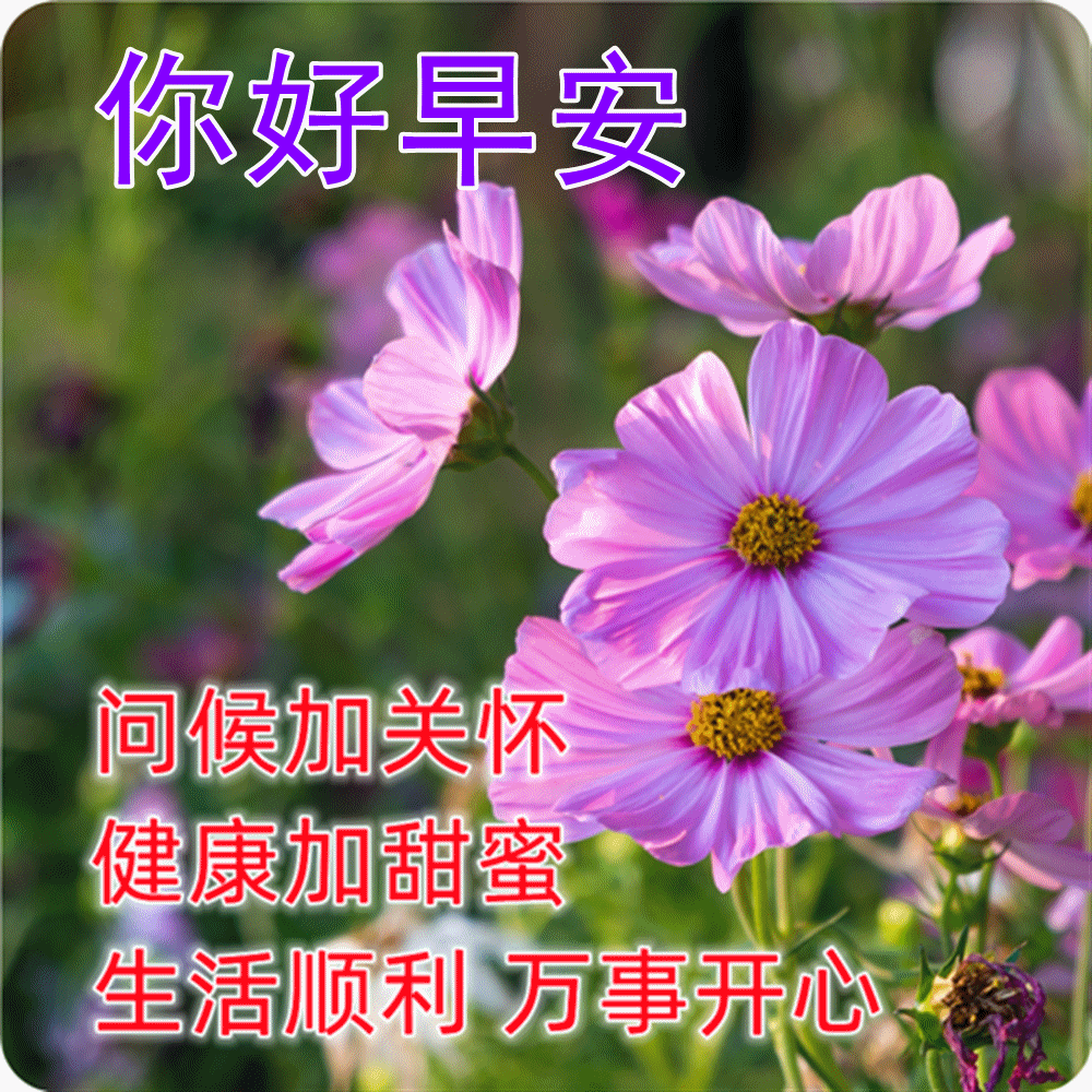 早晨问候朋友短句_早上问候语朋友_早晨对朋友的问候语