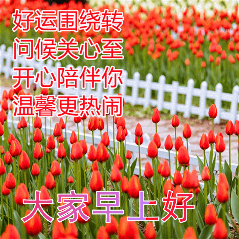 早上问候语朋友_早晨对朋友的问候语_早晨问候朋友短句