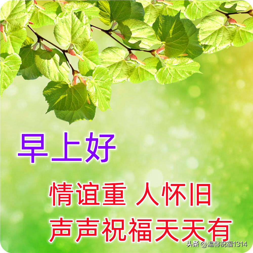 早上问候语朋友_早晨对朋友的问候语_早晨问候朋友短句