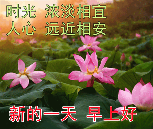 早晨问候朋友短句_早晨对朋友的问候语_早上问候语朋友