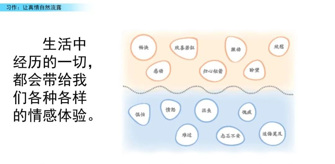 六年级真情流露作文600_六年级真情流露优秀作文_流露真情实感的作文六年级