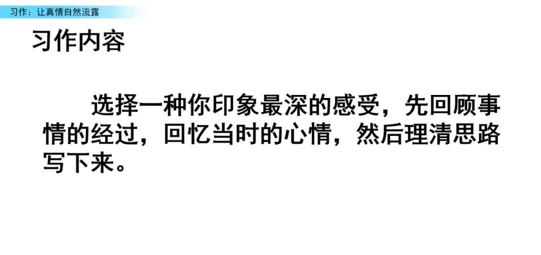 六年级真情流露优秀作文_流露真情实感的作文六年级_六年级真情流露作文600