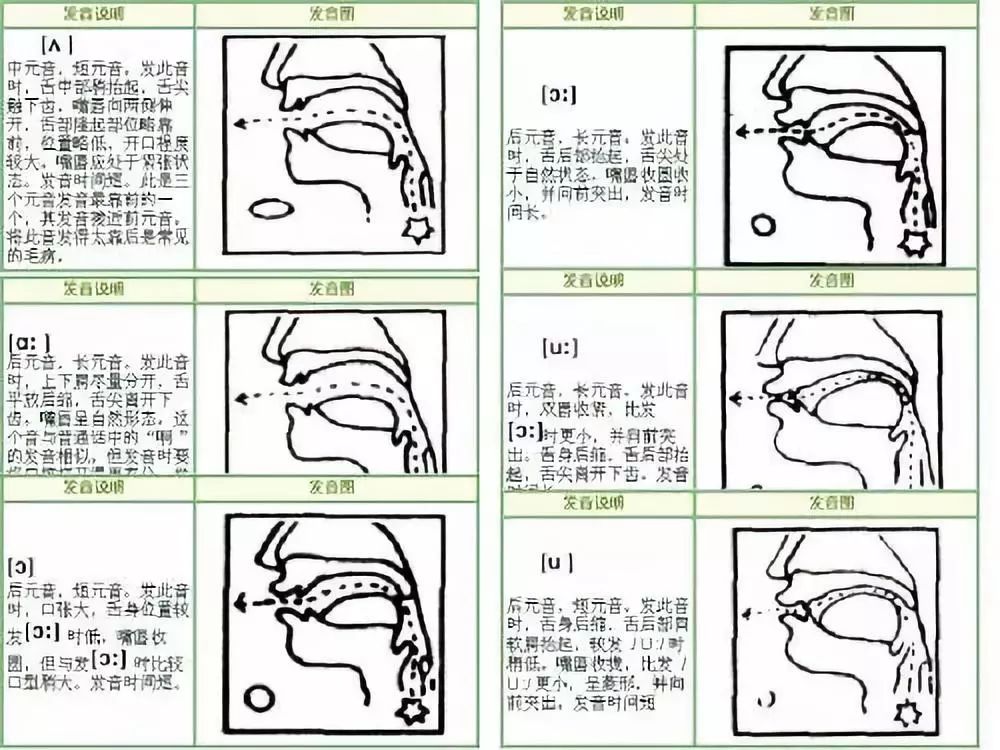 英语到底该怎么学_学英语主要学哪些部分_学英语主要学什么内容