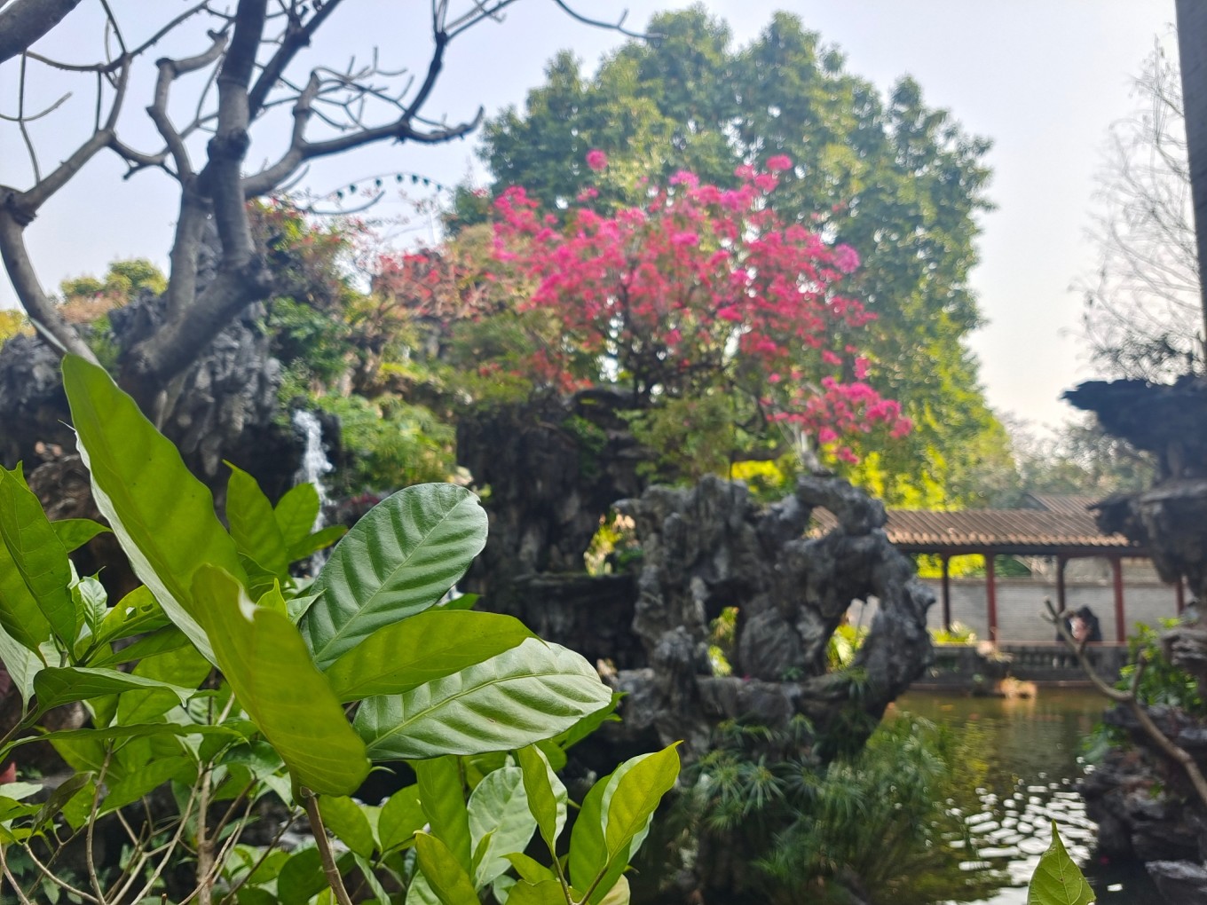 顺德旅行攻略_顺德旅游路线_顺德旅行攻略景点推荐