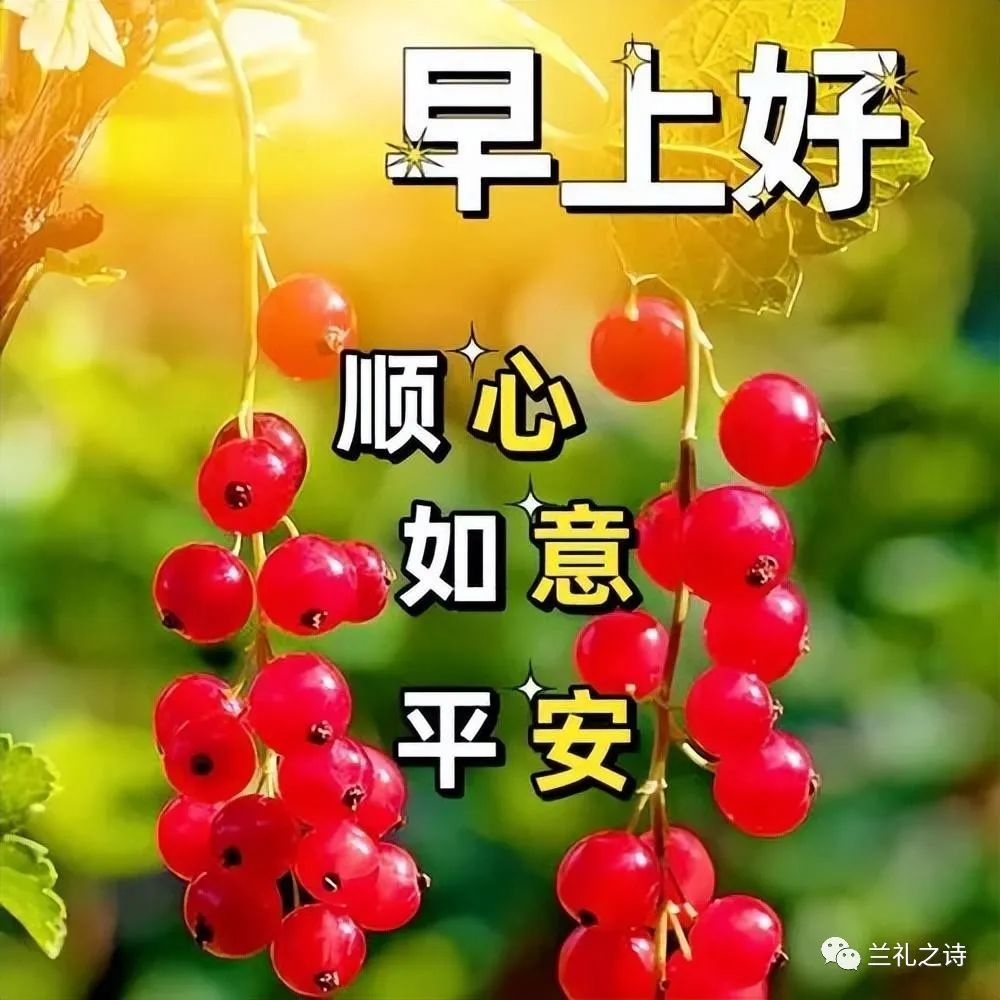 早安问候语星期一_早晨问候语星期日_星期四早安问候语