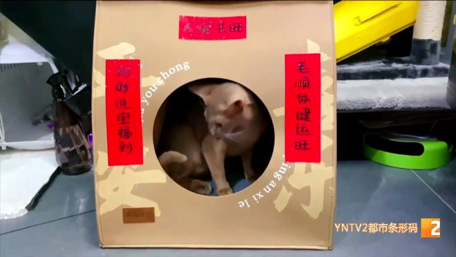 对联金字黑字的寓意和象征_对联金字好还是黑字好_好对联金字黑字是什么