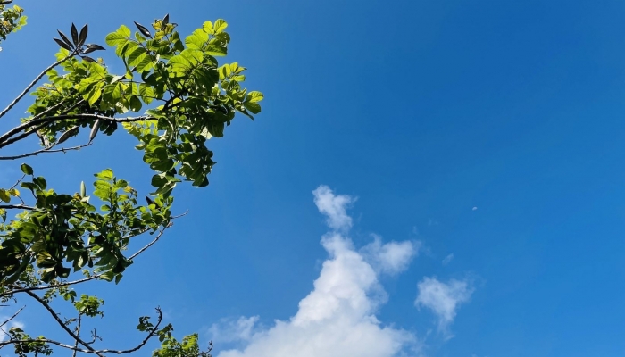 富有诗意的早上问候_诗意早安问候语_诗意的问候早上好