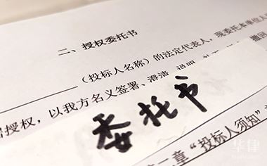 单位委托个人委托书_委托书单位委托个人_委托书单位